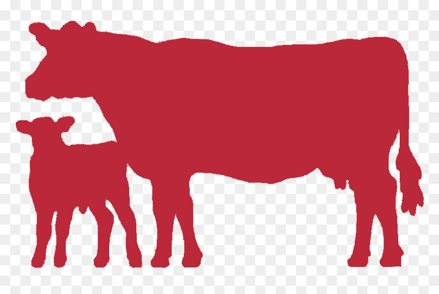 Indian Cow Images Png, Transparent Png - indian cow images png