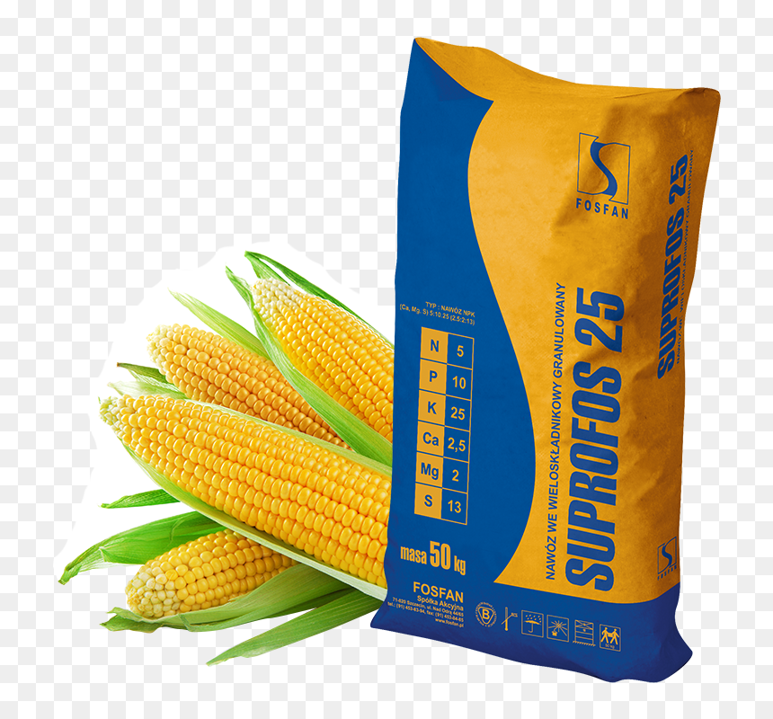For Crops Of Sugar Beet We Recommend - Contoh Jagung, HD Png Download - crops png
