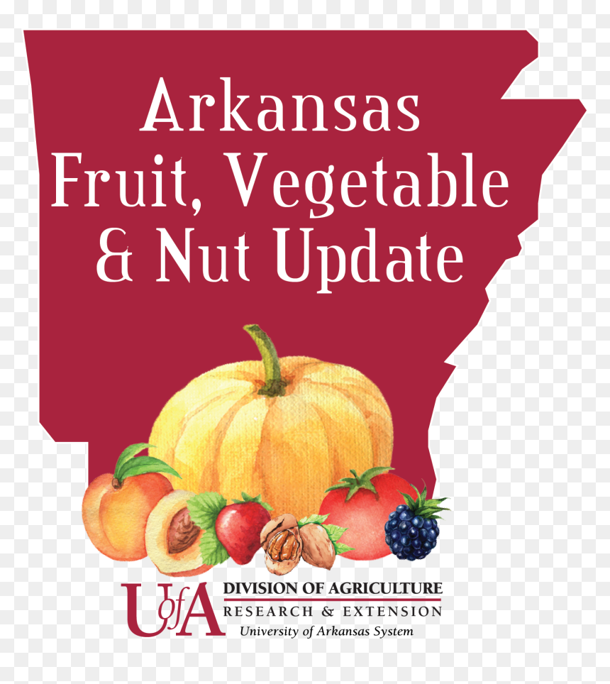 Arkansas Fruit, Vegetable And Nut Update - University Of Arkansas Division, HD Png Download - crops png
