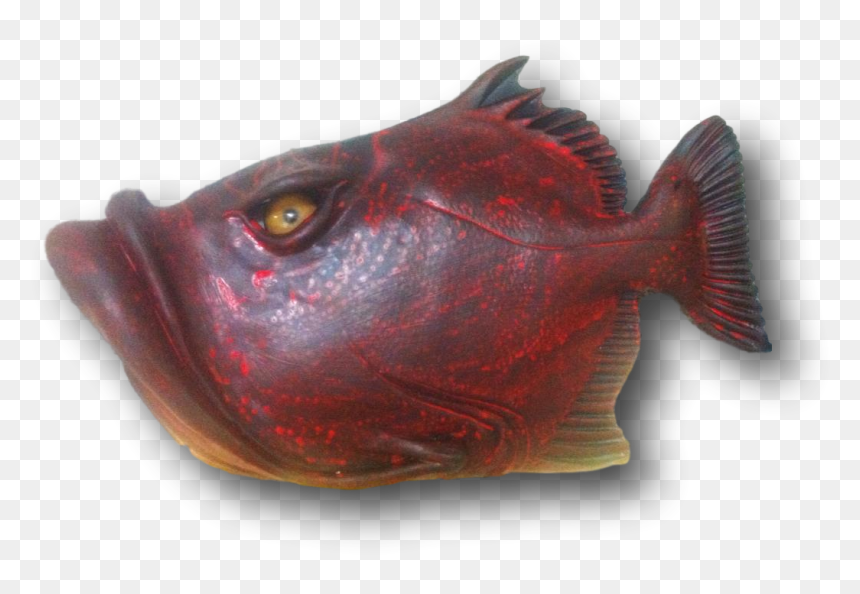 Fish With Attitude - Sockeye Salmon, HD Png Download - sea fish png
