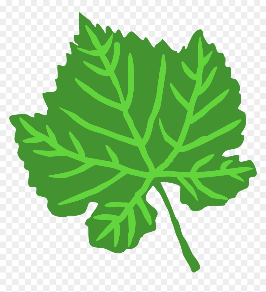 Leaf Svg Clip Arts - Clip Art, HD Png Download - leaf .png