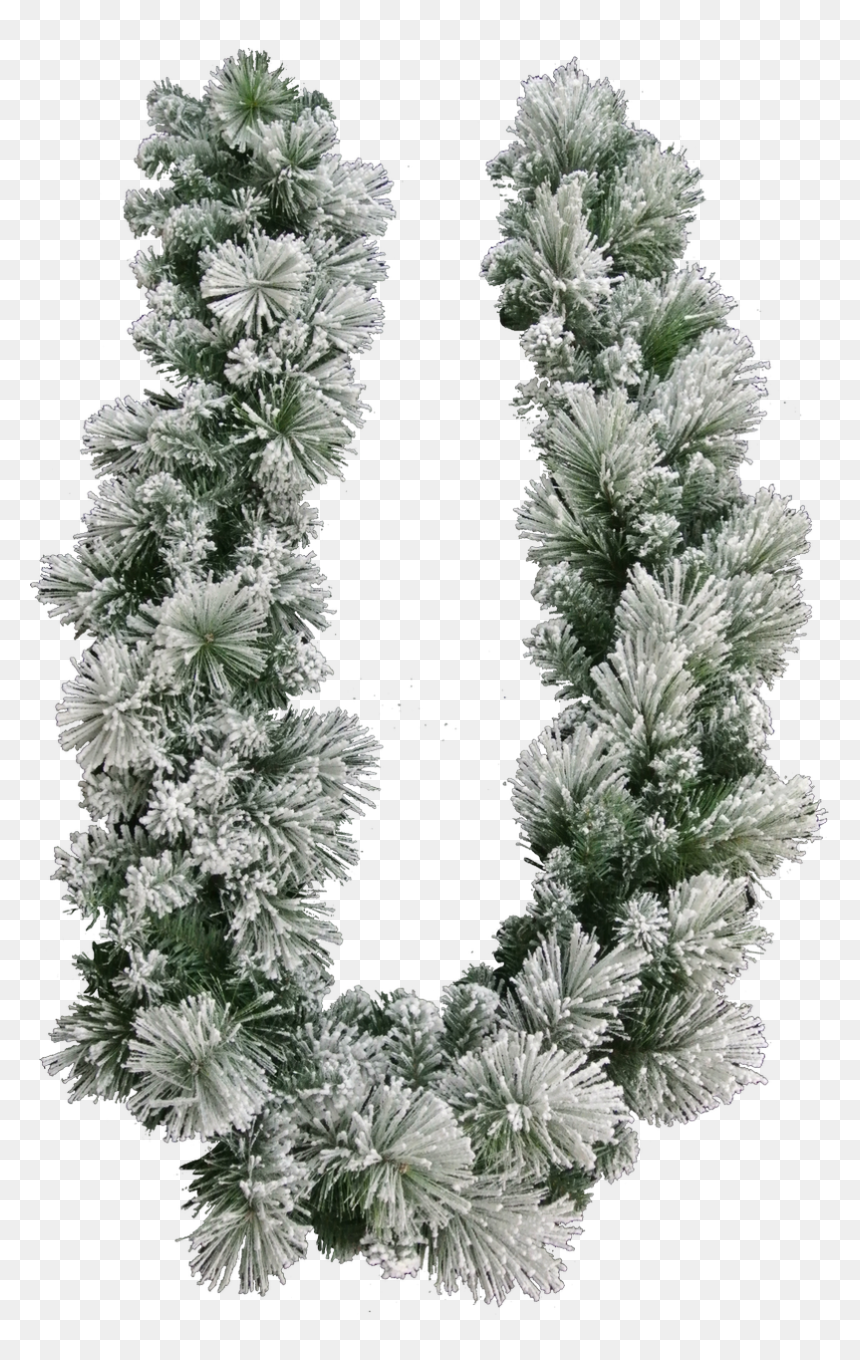 9 - Globe Thistle, HD Png Download - garlands png