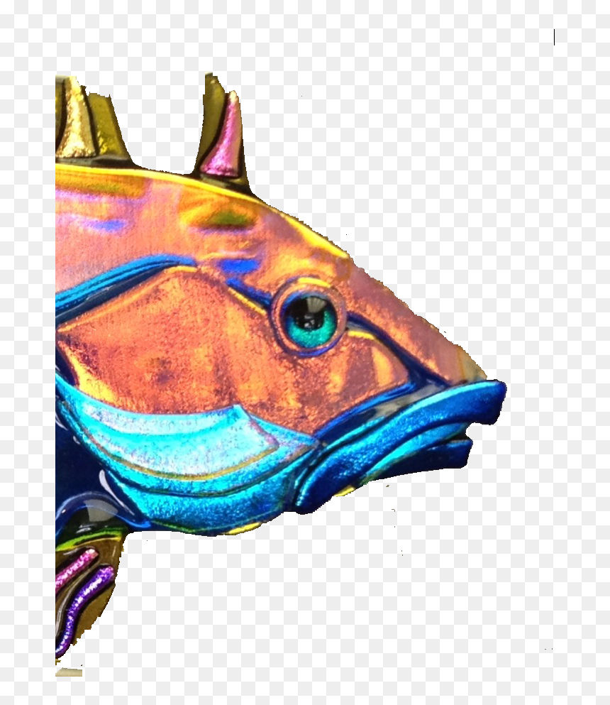 Deep Sea Fish Clipart , Png Download - Billfish, Transparent Png - sea fish png