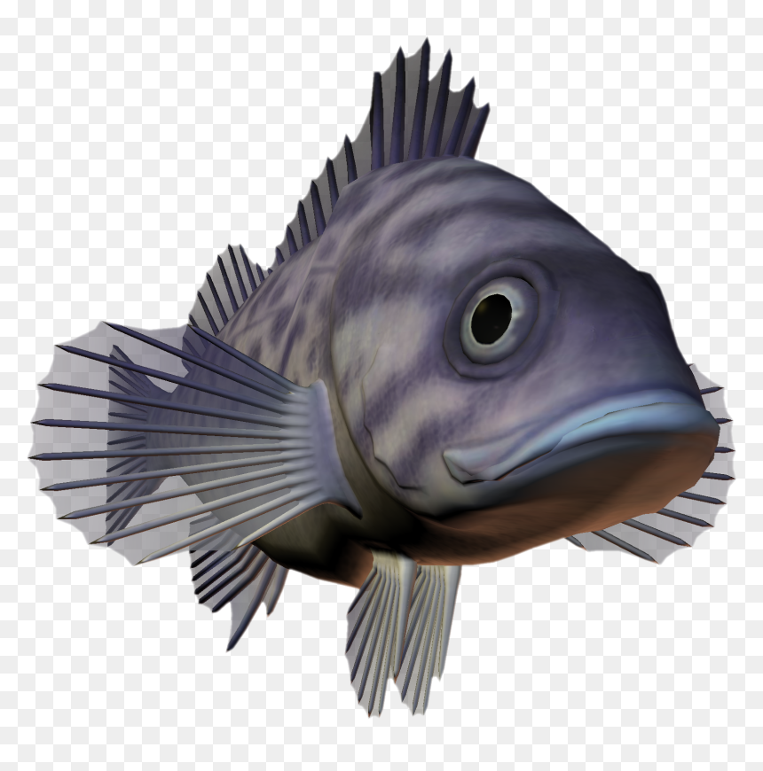 Ocean Fish Png Download - Pomacentridae, Transparent Png - sea fish png