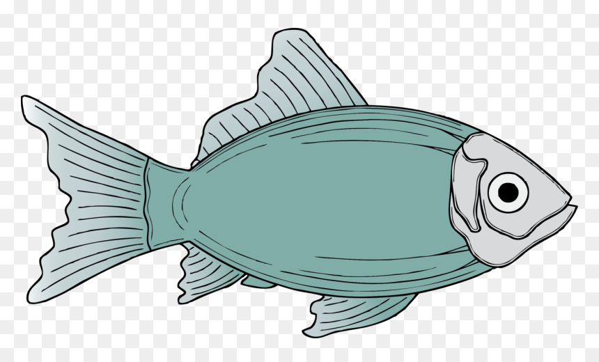 Marine Biology,fish,sea Turtle - Fish Clip Art, HD Png Download - sea fish png