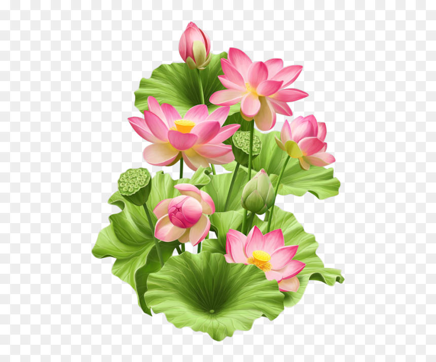 Clip Art Pin By On Png - Lotus Painting Png, Transparent Png - lotus clipart png