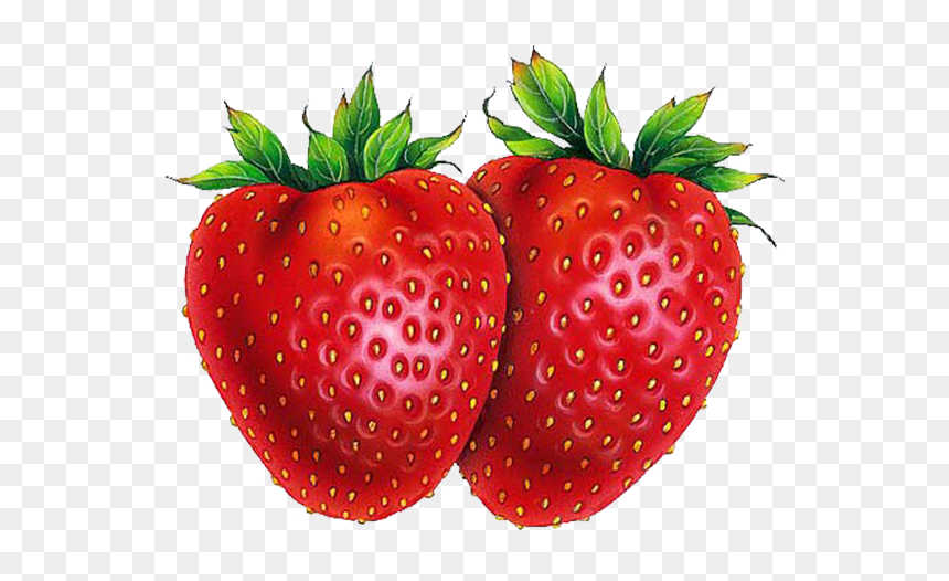 Strawberry Shortcake Drawing Fruit - Strawberries Drawings, HD Png Download - strawberry png images