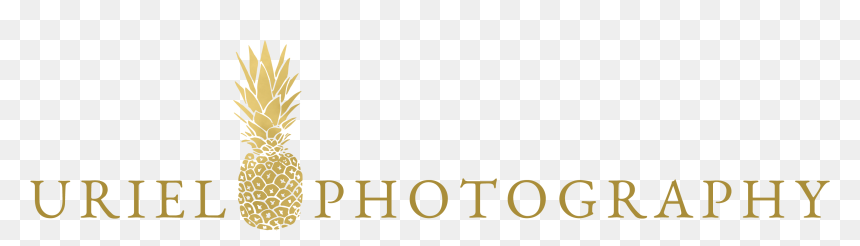 Pineapple, HD Png Download - welcome image png
