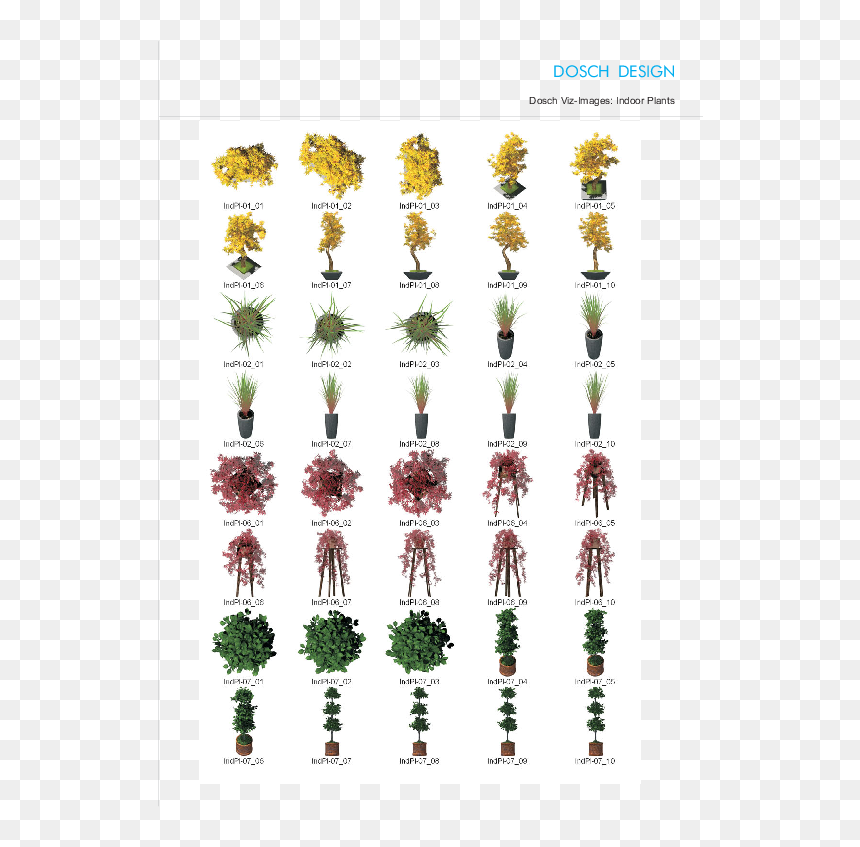 Illustration, HD Png Download - plant png images