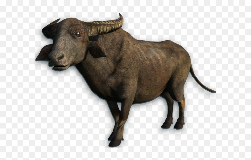 Water Buffalo Png Transparent Picture - Water Buffalo Png, Png Download - buffalo png images