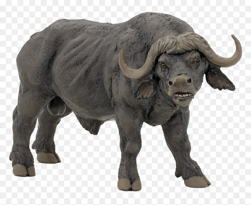 African Buffalo Png Free Download - African Buffalo Toys, Transparent Png - buffalo png images