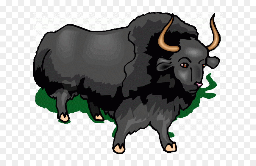 Muskox Clipart Buffalo - Bull, HD Png Download - buffalo png images