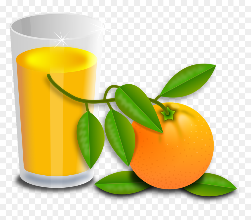 Oranges Fruit Fruits Orange Tree Png Image, Transparent Png - orange clipart png