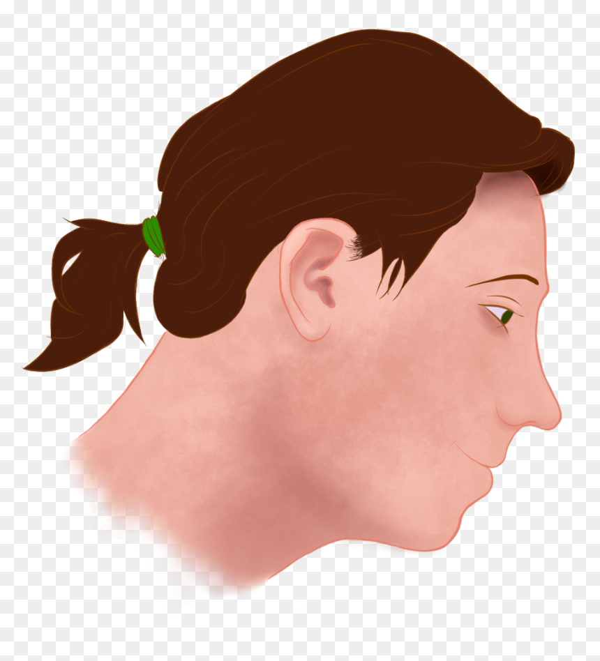 Illustration, HD Png Download - spyglass png