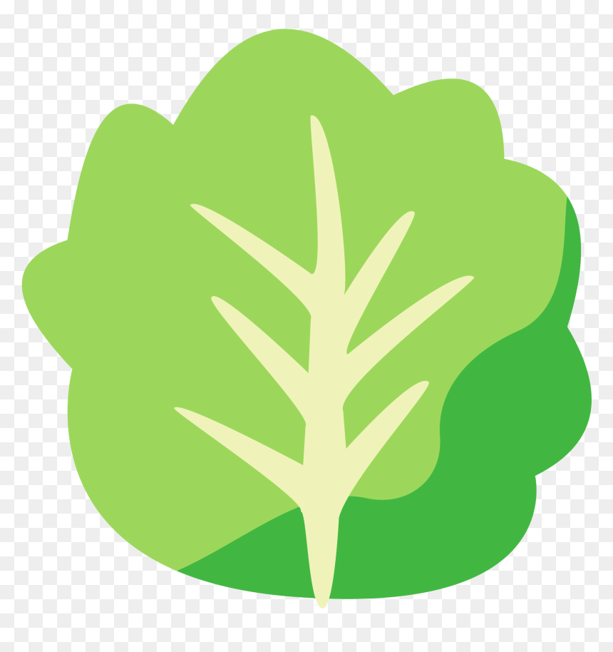 Lettuce-icon - Illustration, HD Png Download - spa icon png