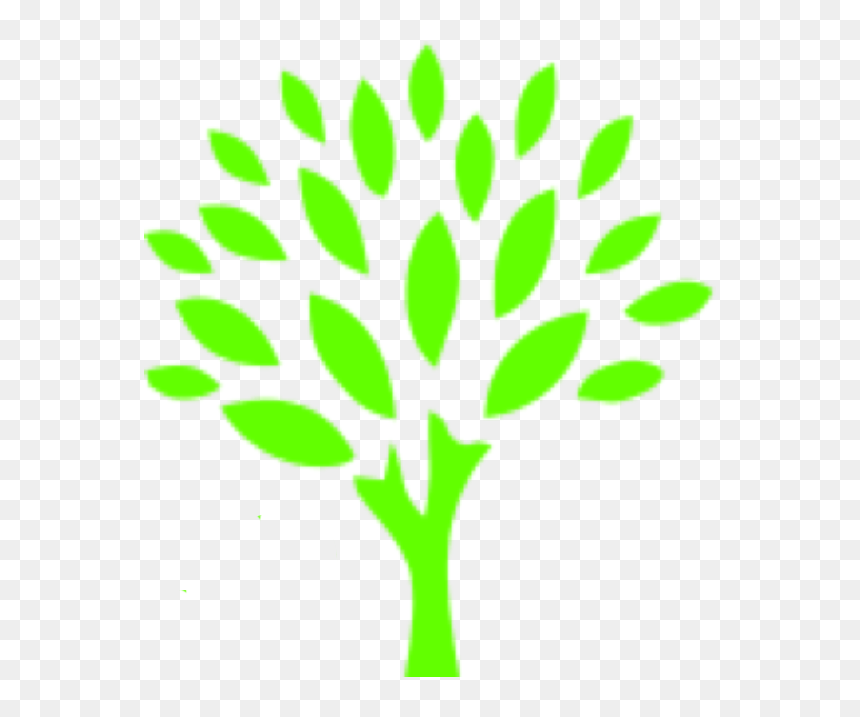 Transparent Top Of Tree Png - Go Green Auto Spa, Png Download - truffula tree png