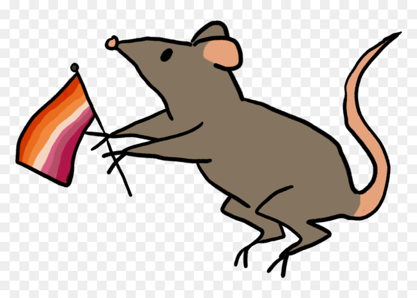 Rat Art, HD Png Download - girly tumblr png