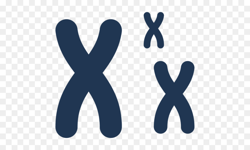 Illustration, HD Png Download - not allowed symbol png