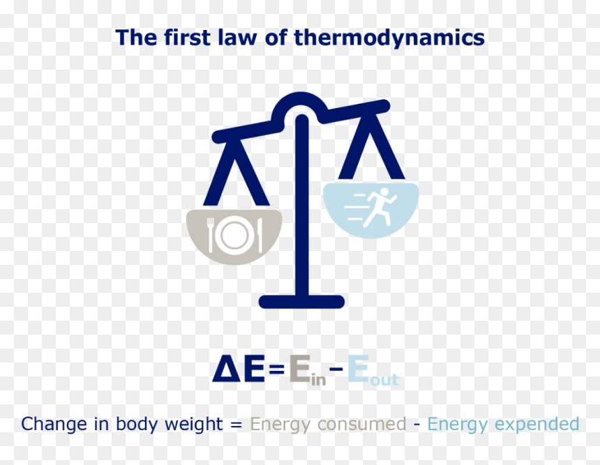 Obesity Thermodynamics - Graphic Design, HD Png Download - obesity png