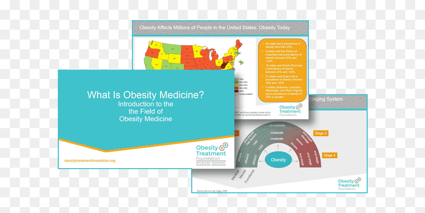 What Is Obesity Medicine - Graphic Design, HD Png Download - obesity png