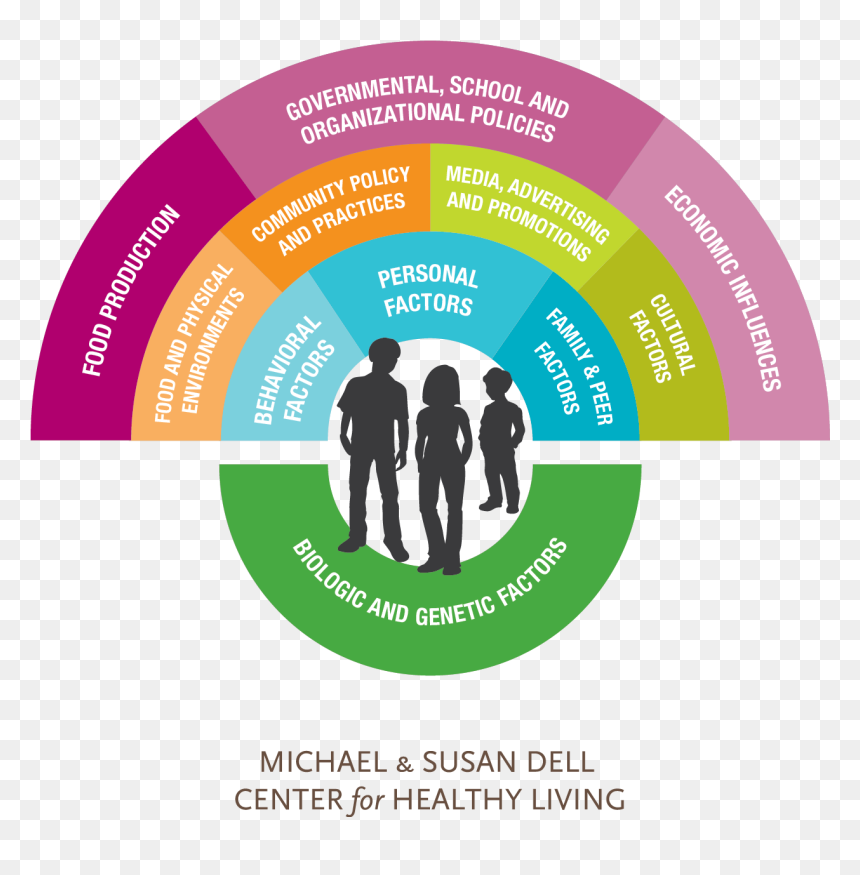 Graphic Design, HD Png Download - obesity png