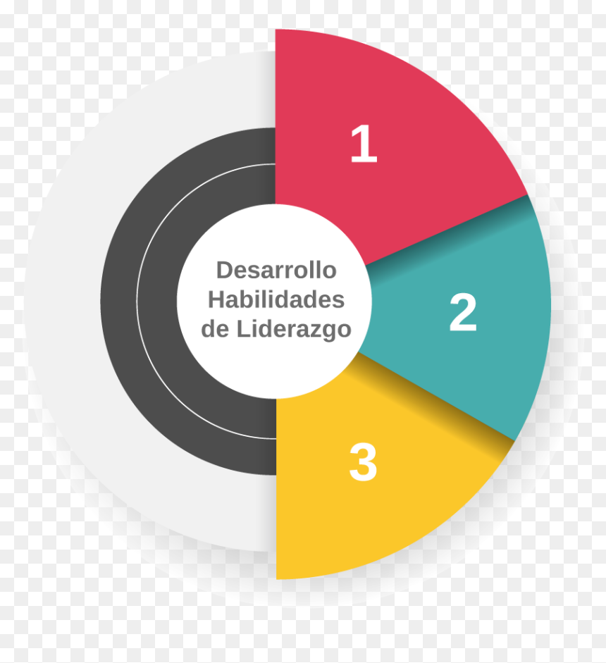Desarrollo Habilidades De Liderazgo - Circle, HD Png Download - liderazgo png