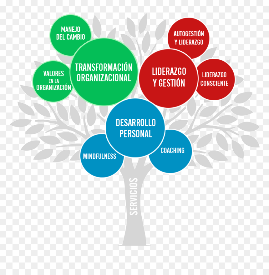Silvio Raij Árbol De Servicios - Arbol De Valores Png, Transparent Png - liderazgo png