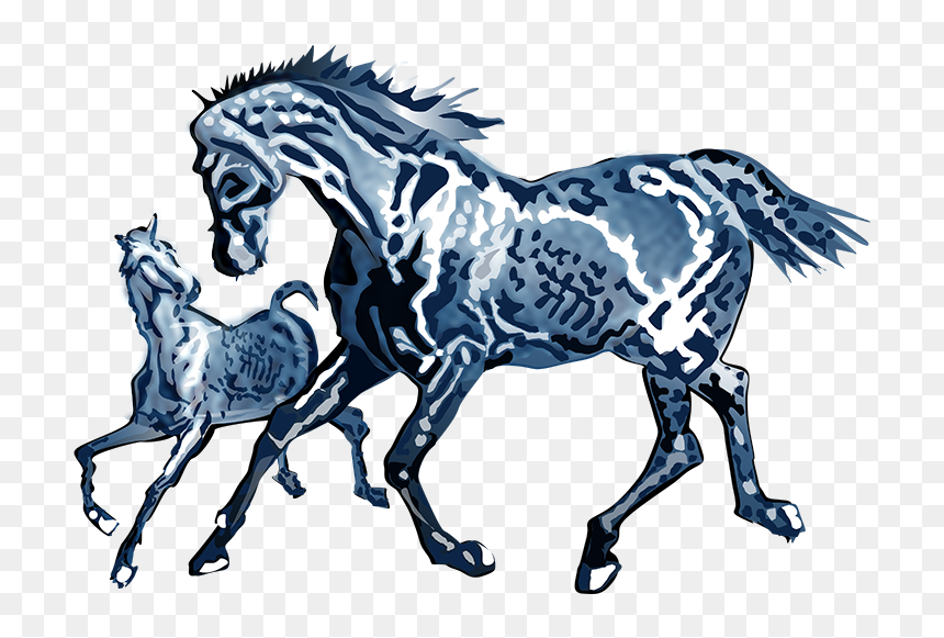 Stallion, HD Png Download - patches png