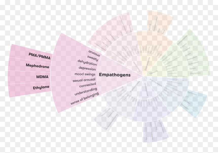 Drug Wheel Segment - Construction Paper, HD Png Download - molly pills png