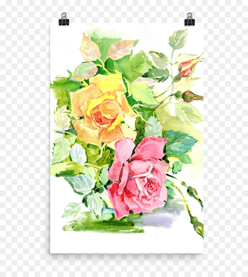 Bright And Floral Rose Watercolour Print Matte Poster - Garden Roses, HD Png Download - floral print png