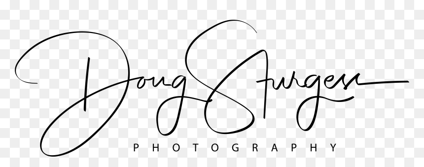 Doug Sturgess Doug Sturgess - Line Art, HD Png Download - doug png