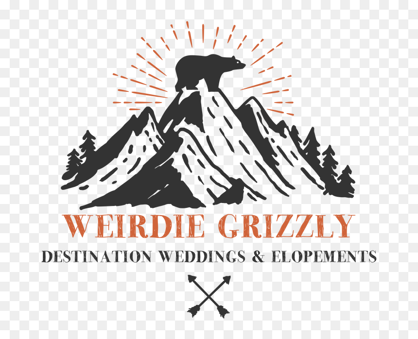 Picture - Graphic Design, HD Png Download - grizzly png