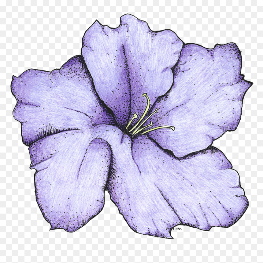 Lily, HD Png Download - azalea png