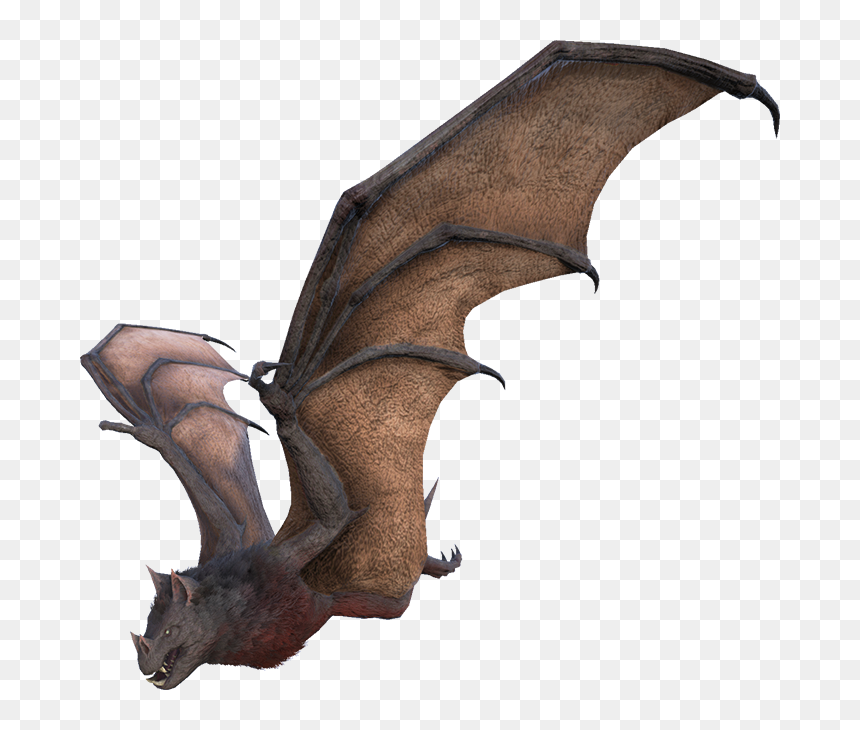 Onyc - Onyc Ark, HD Png Download - ark survival png
