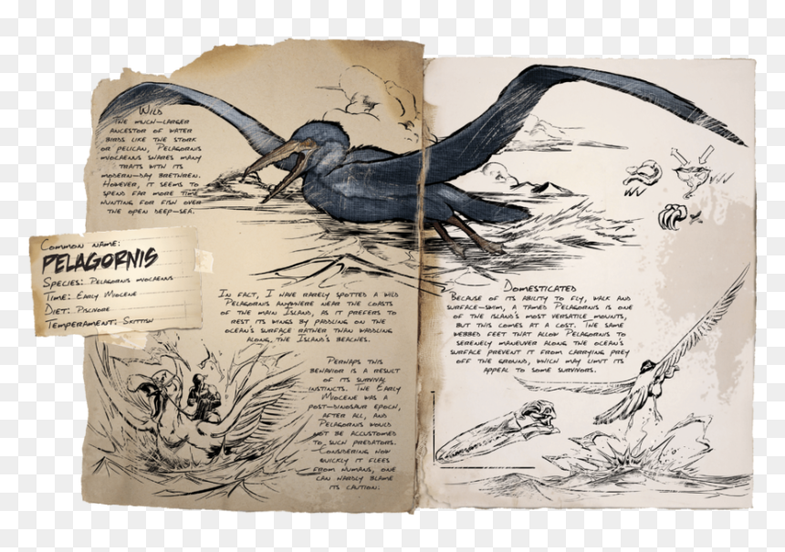 Ark Survival Pelagornis, HD Png Download - ark survival png