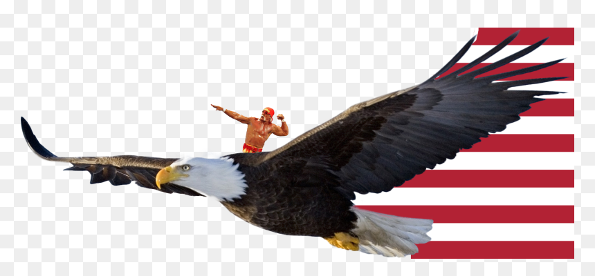 Transparent Hulk Hogan Png - Riding A Bald Eagle, Png Download - upvote png