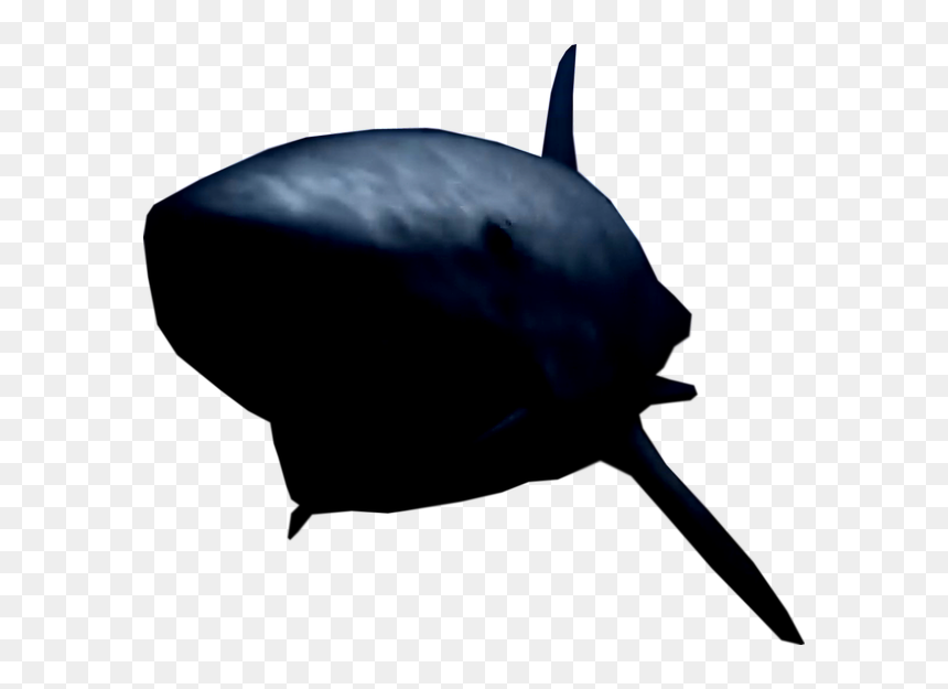 Shark, HD Png Download - cucaracha png