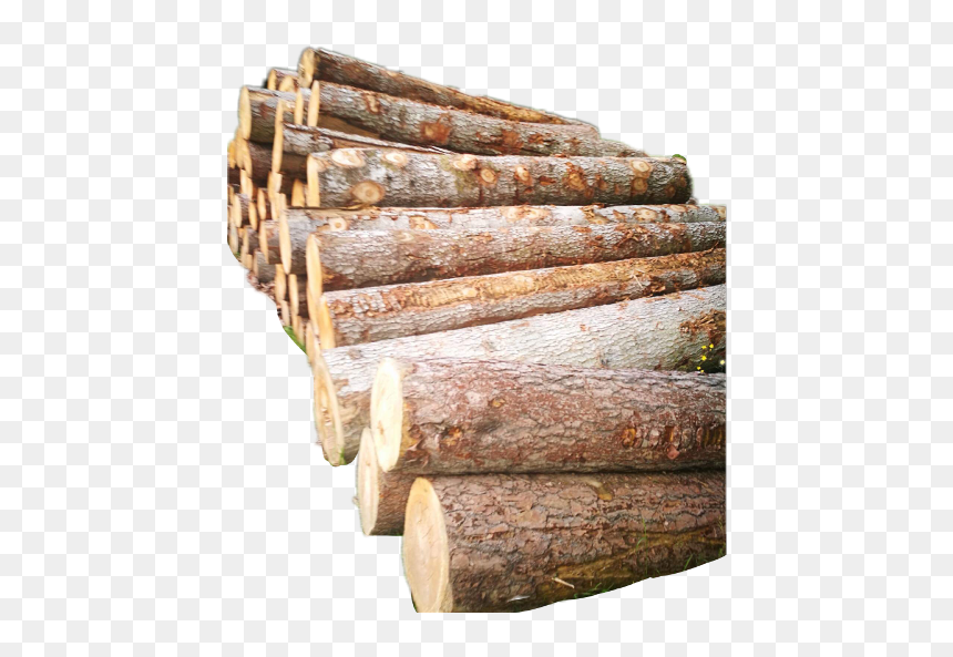 #wood #firewood #remix - Wood, HD Png Download - firewood png