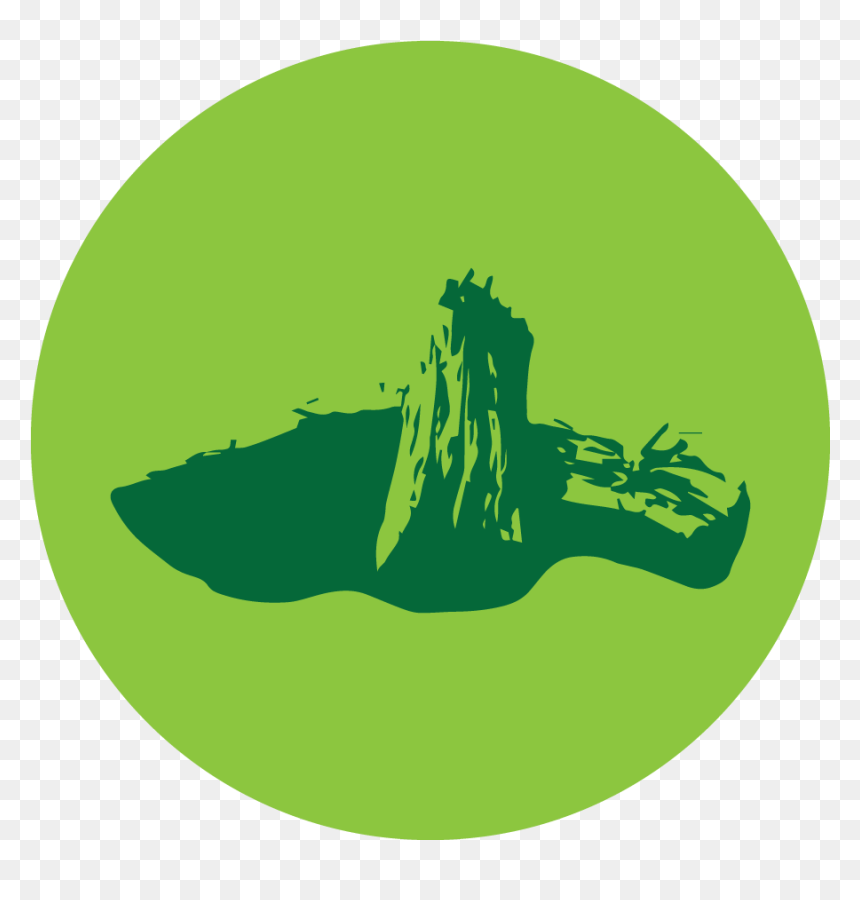 Firewood - Tree, HD Png Download - firewood png