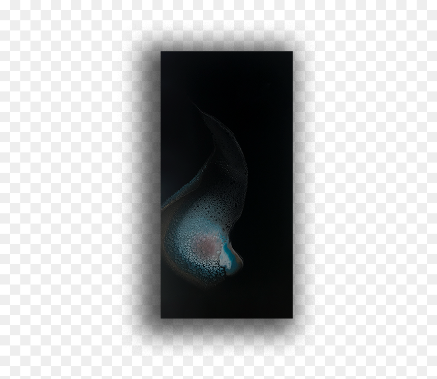 Fish, HD Png Download - thumb print png