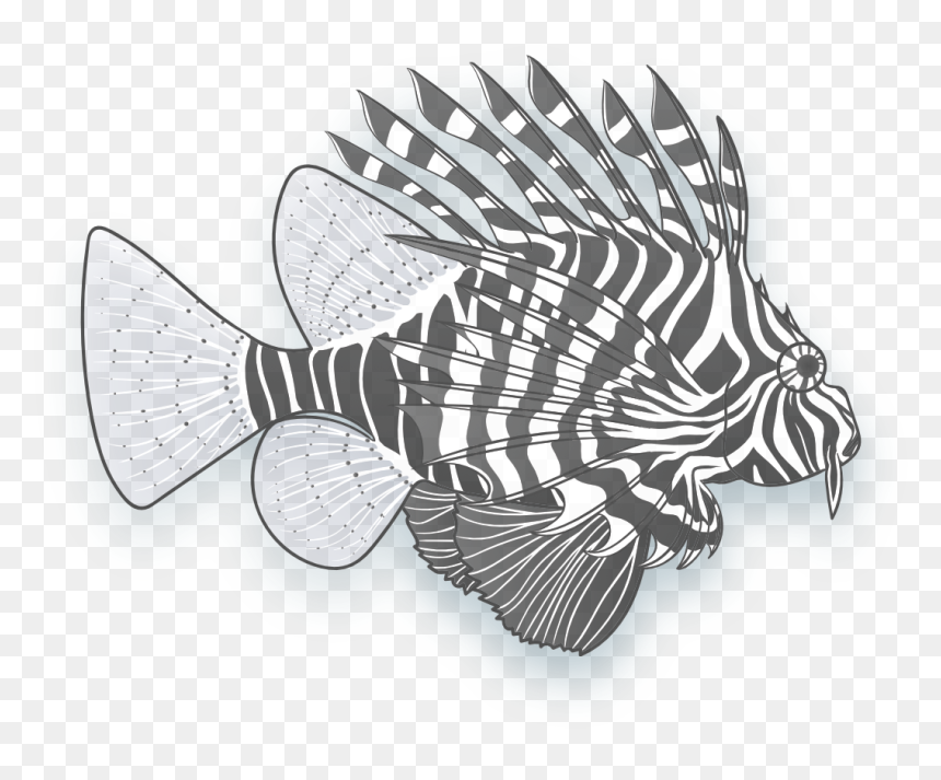 Lionfish, HD Png Download - lionfish png