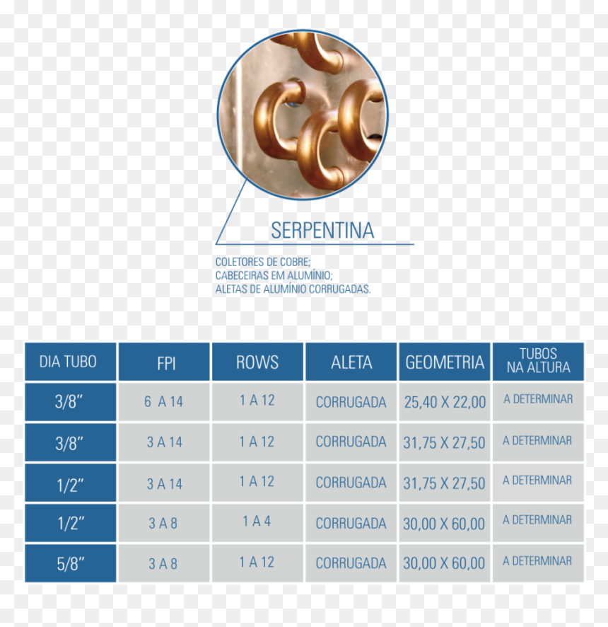 Multimedia Software, HD Png Download - serpentina png