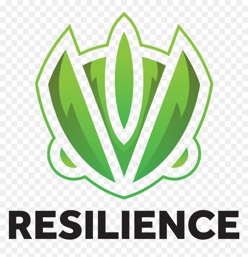Resilience Esports - New Bmw 3 Series 2012, HD Png Download - esports png