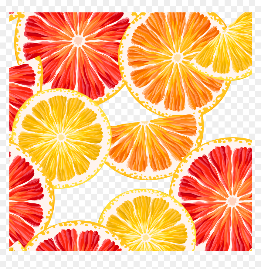 Grapefruit, Lemon Clipart, Orange, Lemon Slice, Vector - Lemon Fruit Background Cartoon, HD Png Download - lemon wedge png