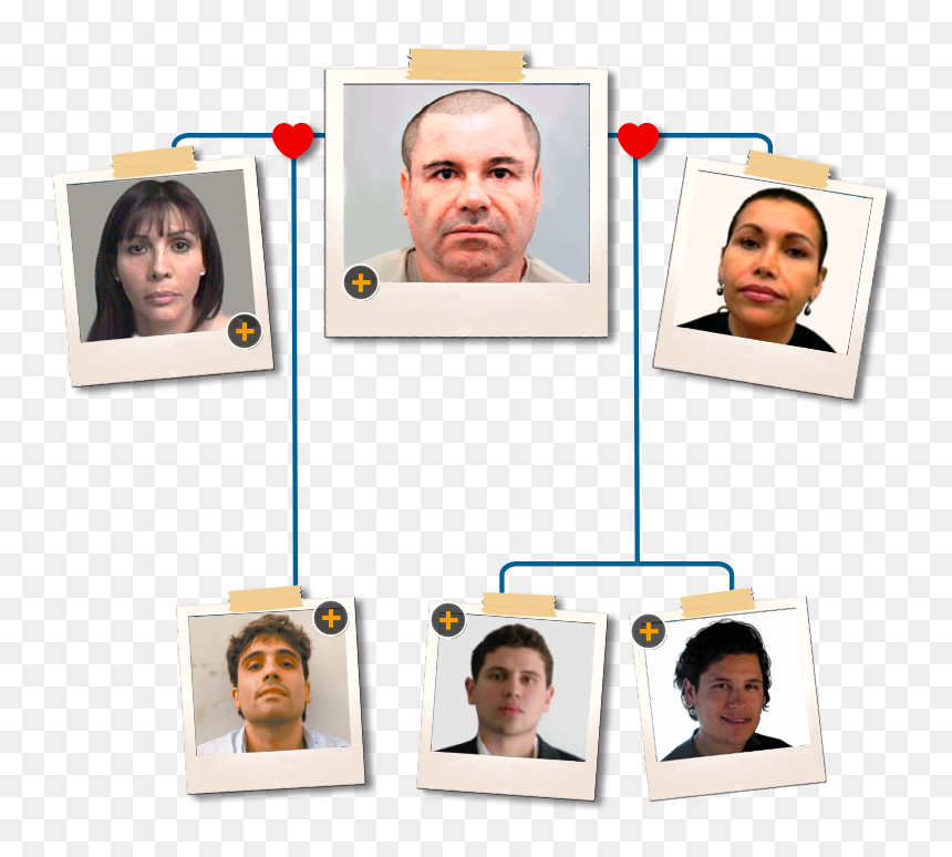 Collage, HD Png Download - el chapo png