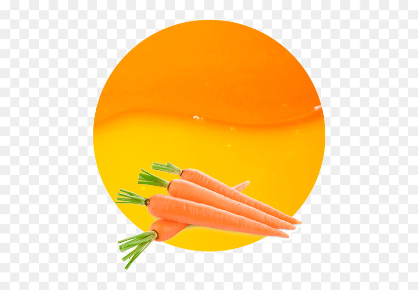 Concentrado De Zumo De Zanahoria - Carrot China, HD Png Download - zanahoria png