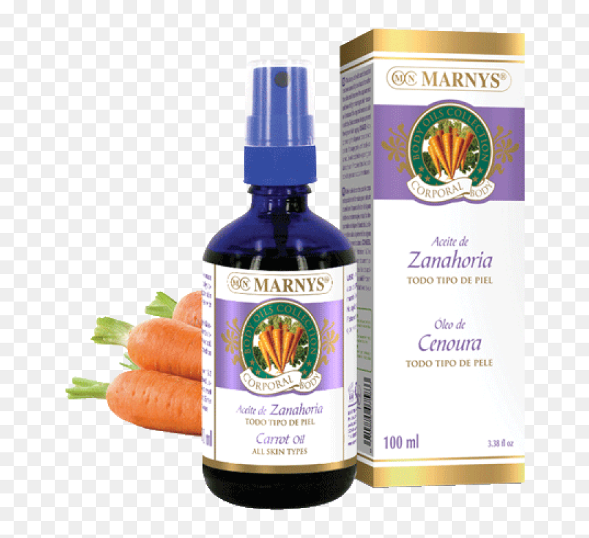 Baby Carrot, HD Png Download - zanahoria png