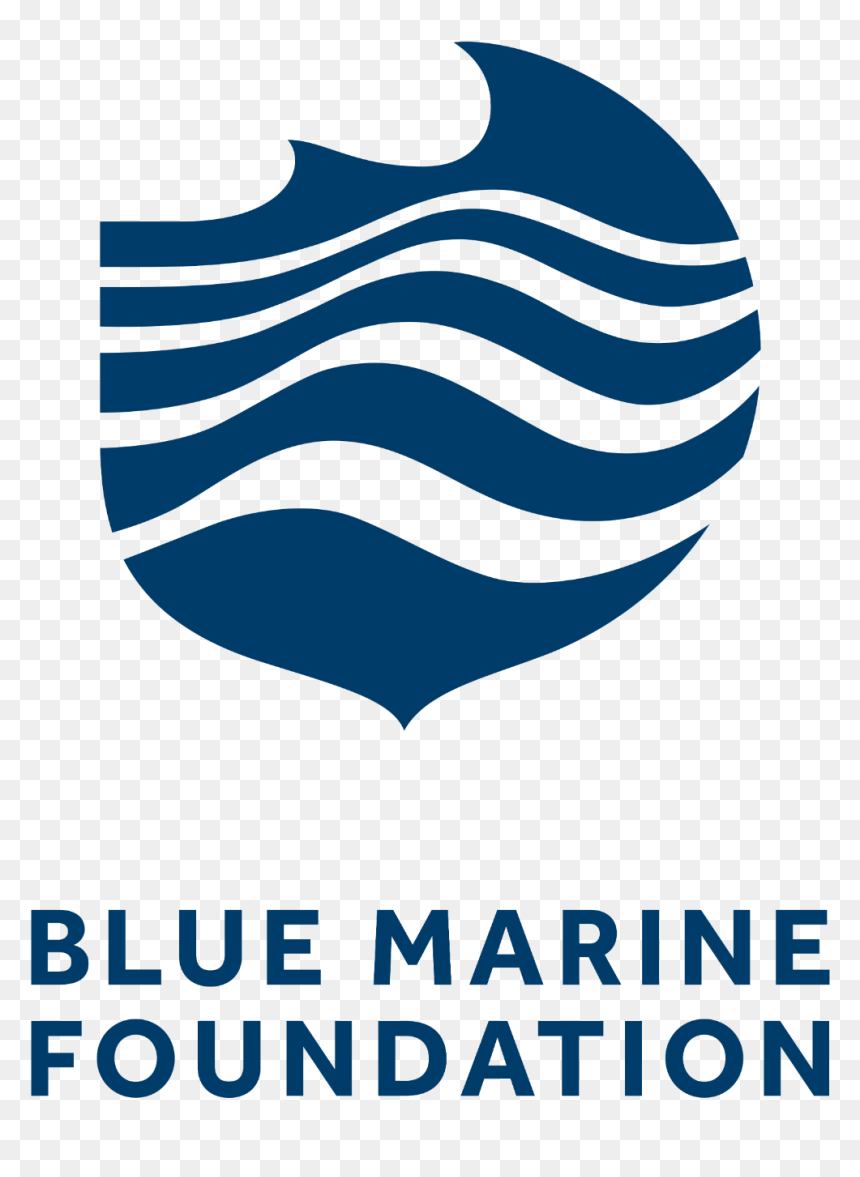 Blue Marine Foundation Logo, HD Png Download - marine logo png