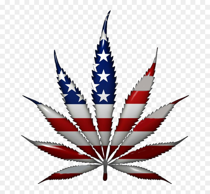 Weed Leaf, Powerful Reasons Legalize Marijuana The - Marijuana America, HD Png Download - weed logo png