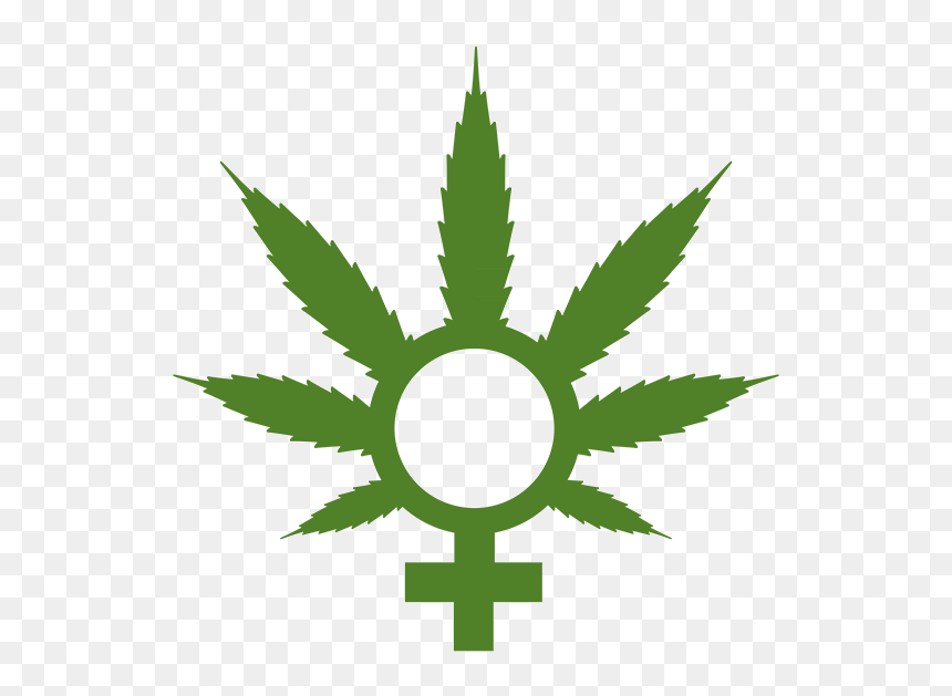 Medical Marijuana, HD Png Download - weed logo png
